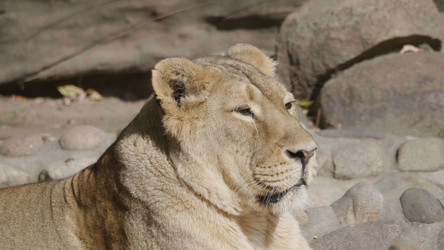 Similar image 21630645