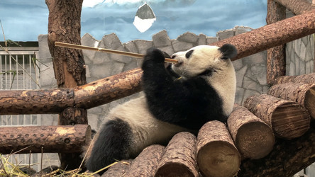 Similar image 21631495