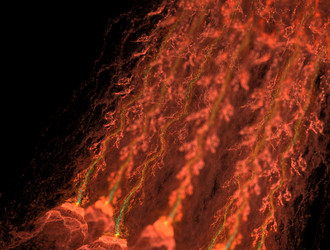 Similar image 21623940