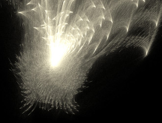 Similar image 21624095