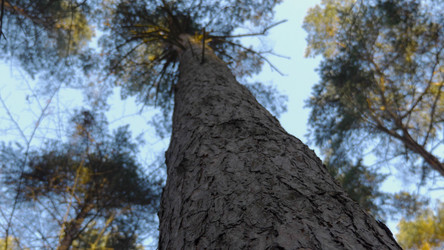 Similar image 21631373