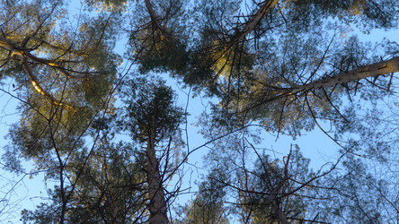 Similar image 21631375