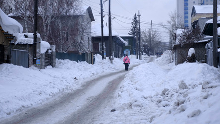 Similar image 21631496