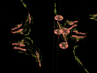 Similar image 21624098