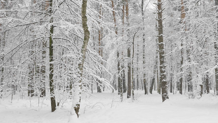 Similar image 21631380