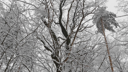 Similar image 21631498