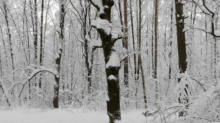 Similar image 21631500