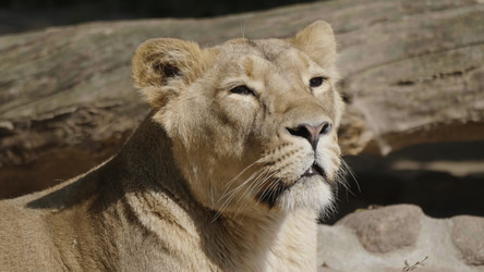 Similar image 21558901