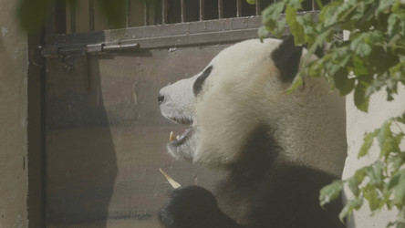 Similar image 21556263