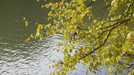 Similar image 21609787