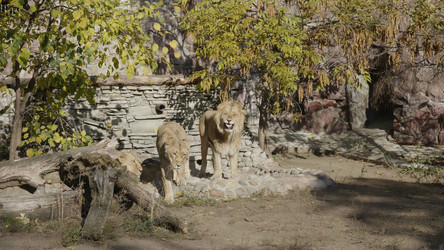 Similar image 21609788