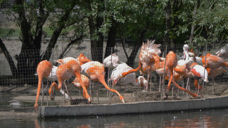 Similar image 21610179