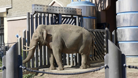 Similar image 21630647