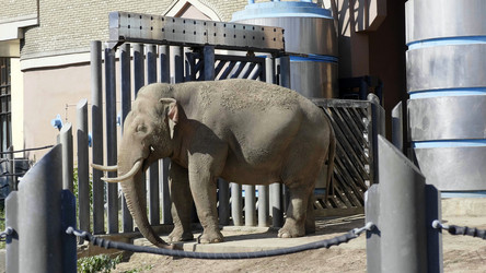 Similar image 21630861