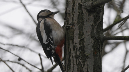 Similar image 21631066