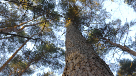 Similar image 21631384