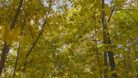 Similar image 21631501