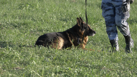 Similar image 21610181