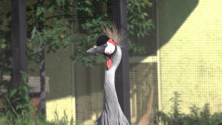 Similar image 21631068