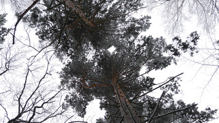 Similar image 21609793