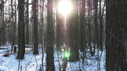 Similar image 21609795