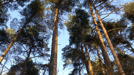 Similar image 21610183