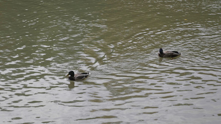 Similar image 21609798