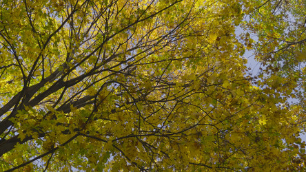 Similar image 21631153