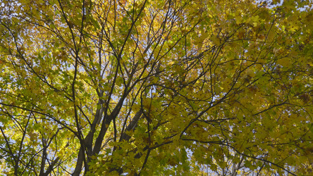 Similar image 21631387