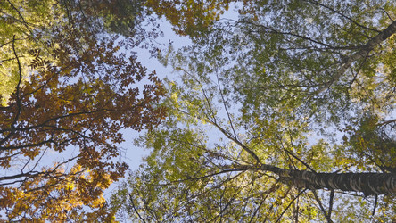 Similar image 21631503