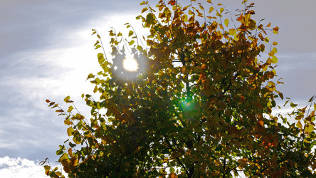 Similar image 21631505