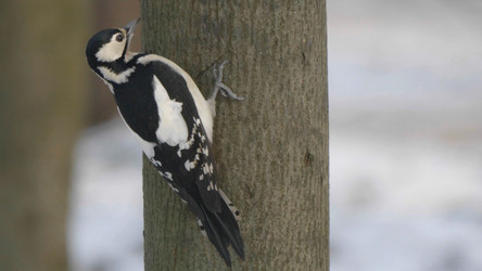 Similar image 21609802