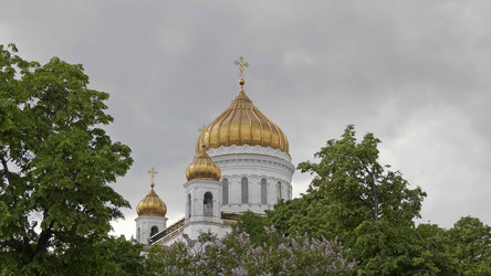 Similar image 21631073