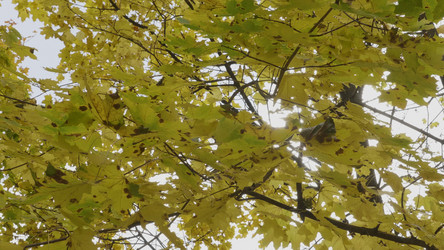 Similar image 21609805