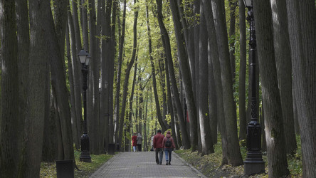 Similar image 21609807