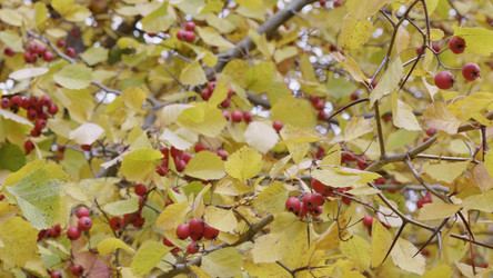 Similar image 21610187