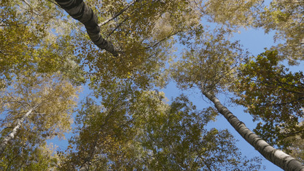 Similar image 21610188