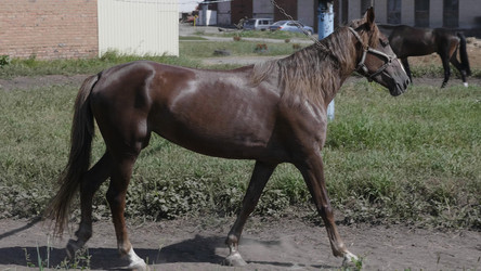 Similar image 21610190