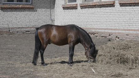 Similar image 21611319