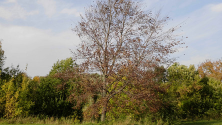 Similar image 21611651