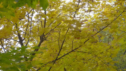 Similar image 21611652