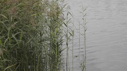 Similar image 21611773