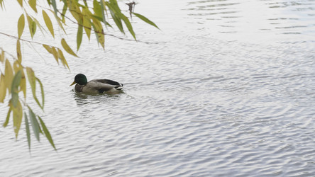 Similar image 21611774