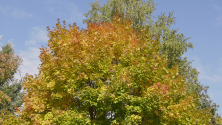 Similar image 21630653