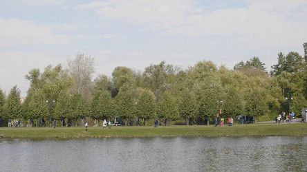 Similar image 21631391