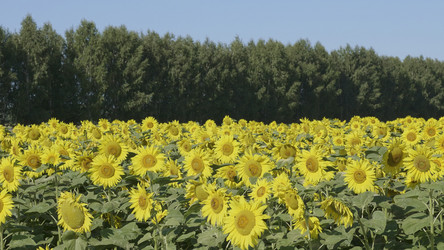 Similar image 21631509