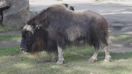 Similar image 21631393