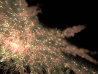 Similar image 21619796