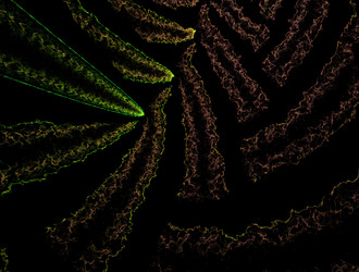 Similar image 21614540