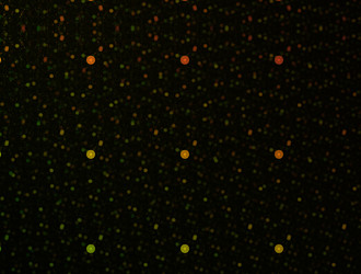 Similar image 21618470